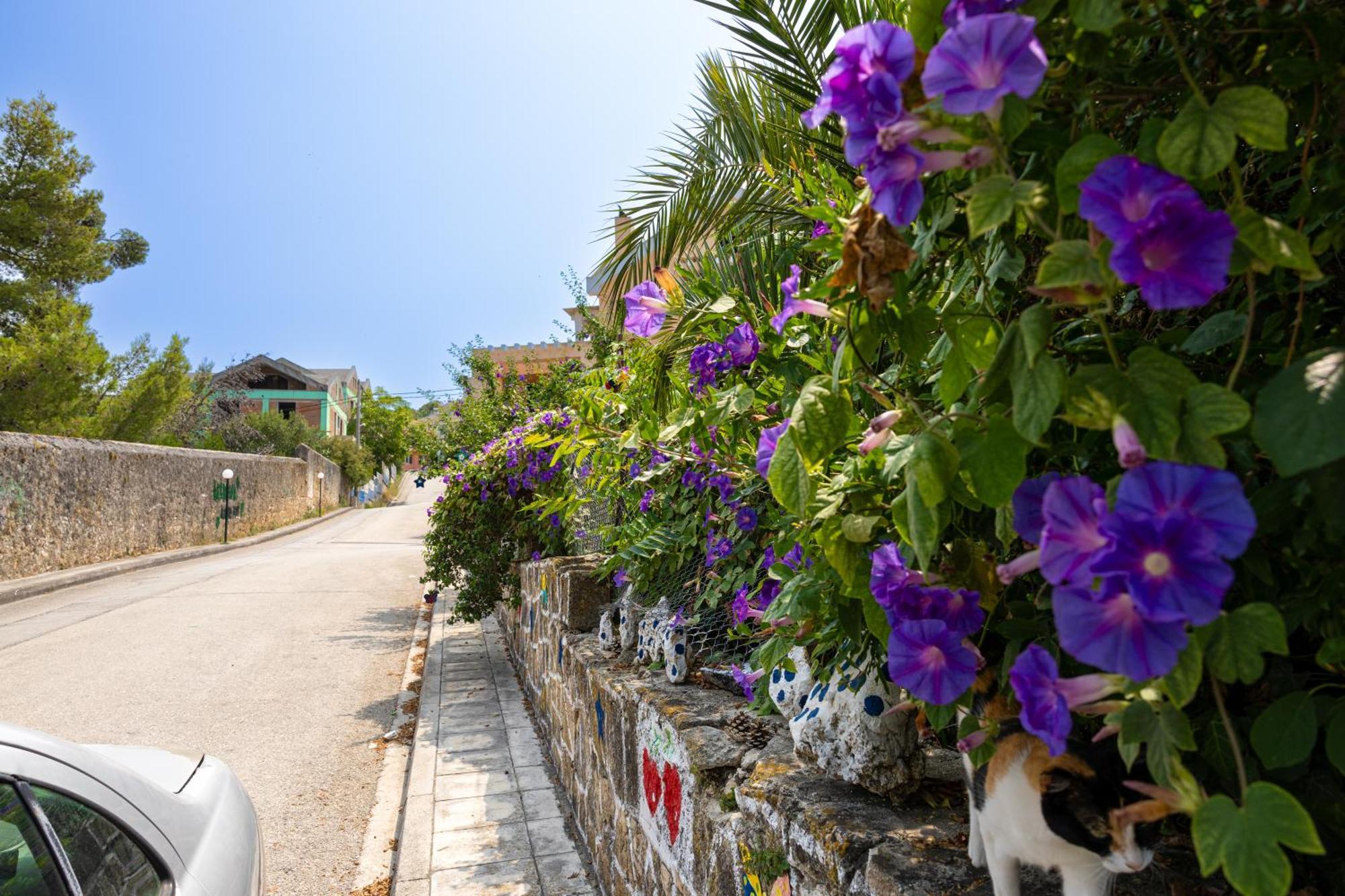 Domus City Apartment Argostoli  Buitenkant foto